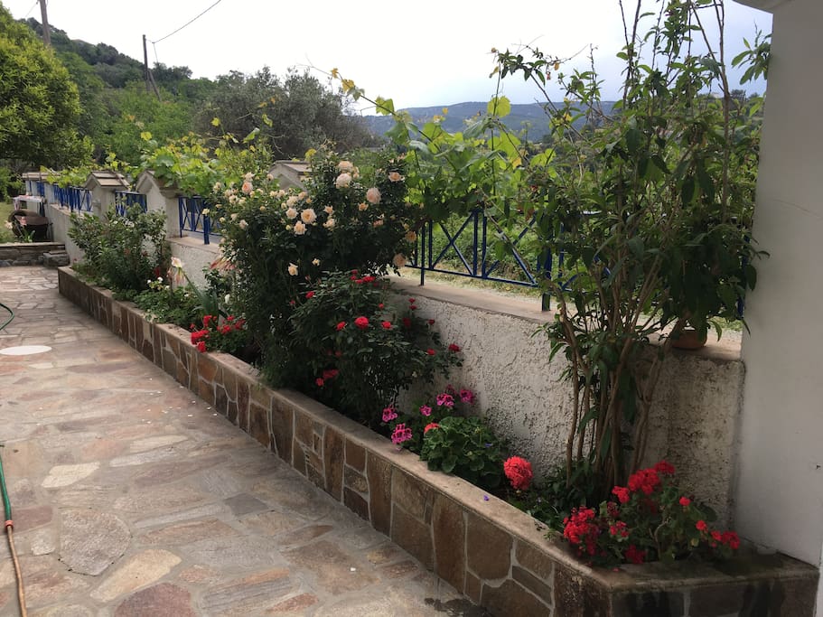 Flowers decorate the paved courtyard throughout the year.