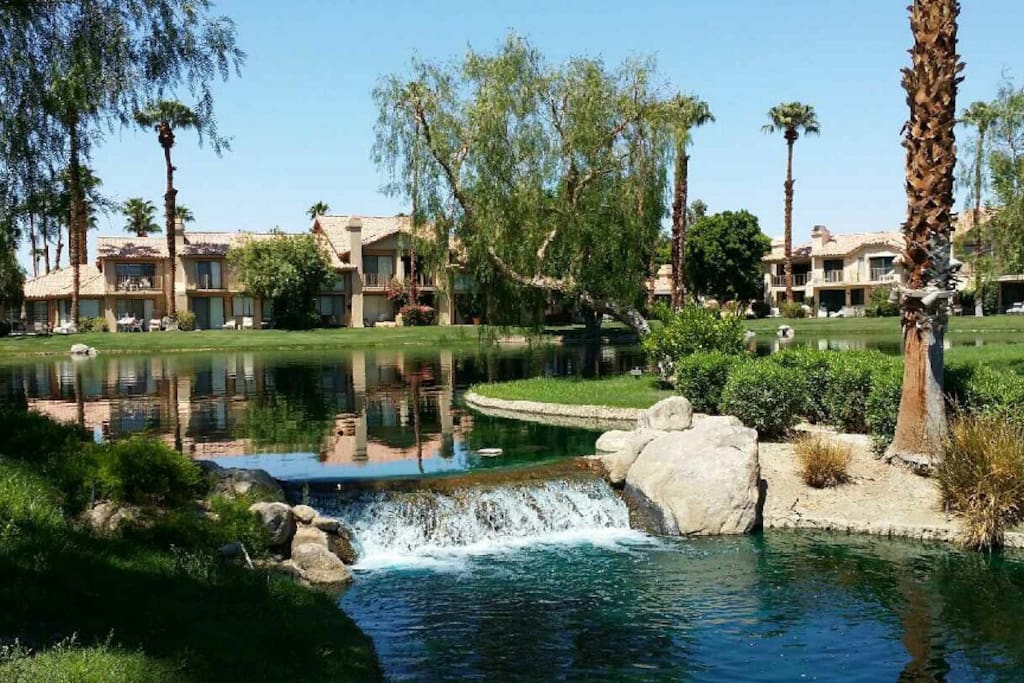 Backyard pond