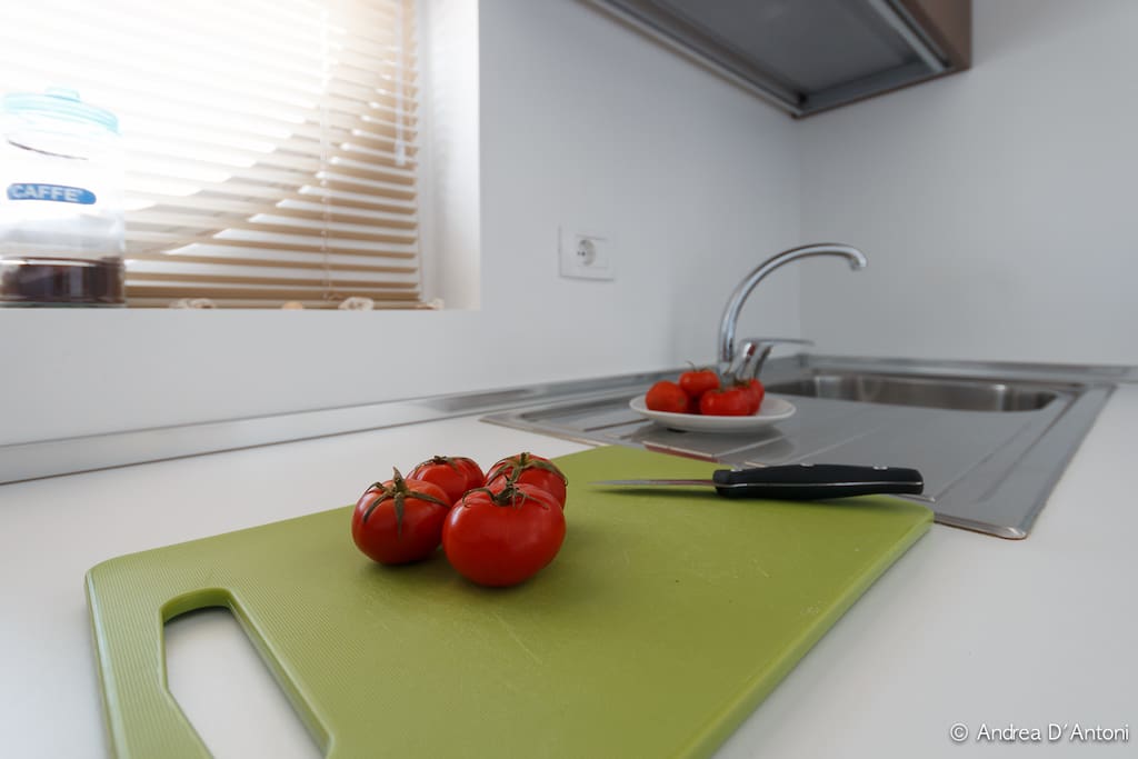 Cucina accessoriata con piano cottura ad induzione , fornetto elettrico , frigo con cella freezer , cappa aspirante .