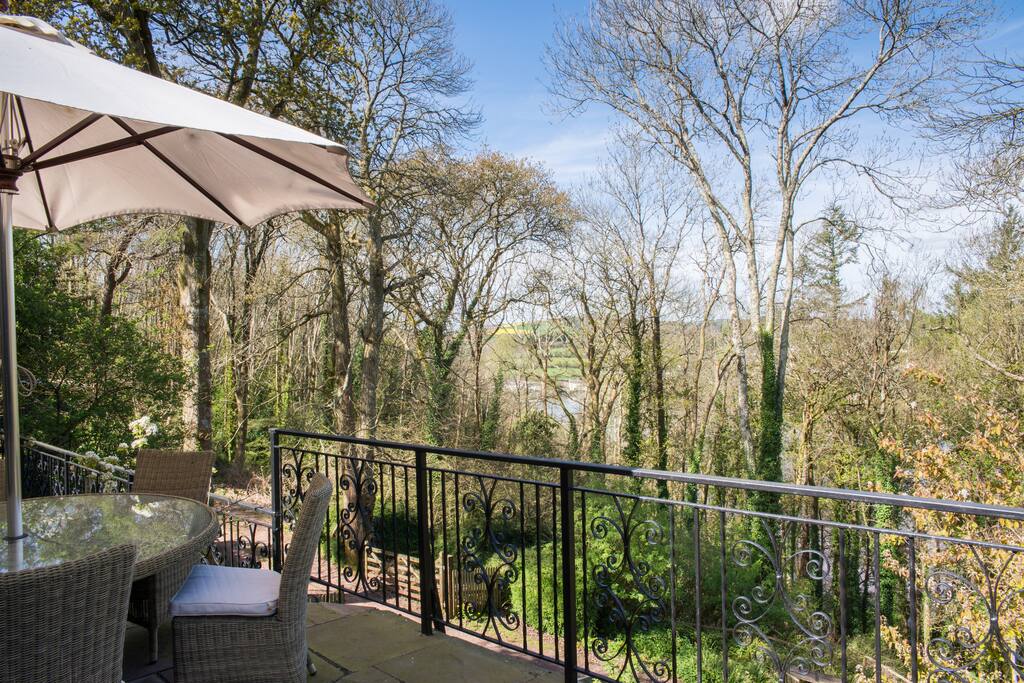 View from terrace through woods to Mill Pool and River Dart