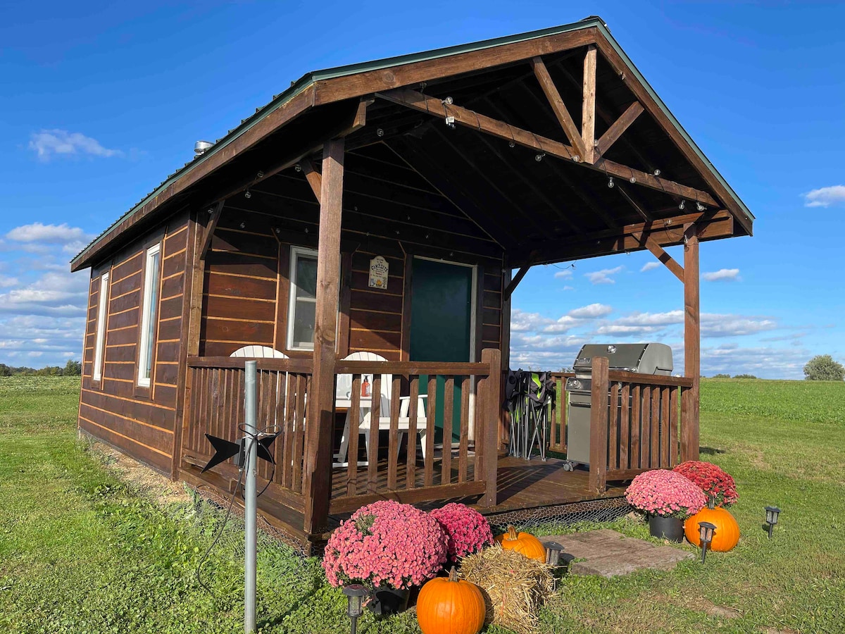 The cabin features a rustic wooden exterior with a covered porch. Two white chairs and a large grill are visible on the porch. Brightly colored mums and pumpkins decorate the entrance, set against a clear blue sky and a green landscape.