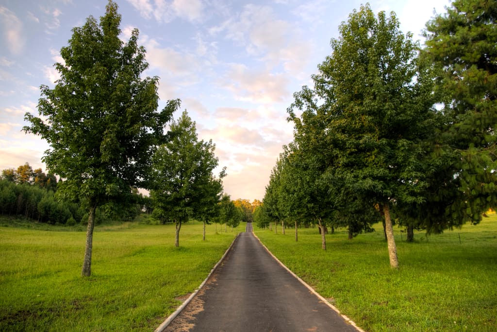 Driveway to Lodge