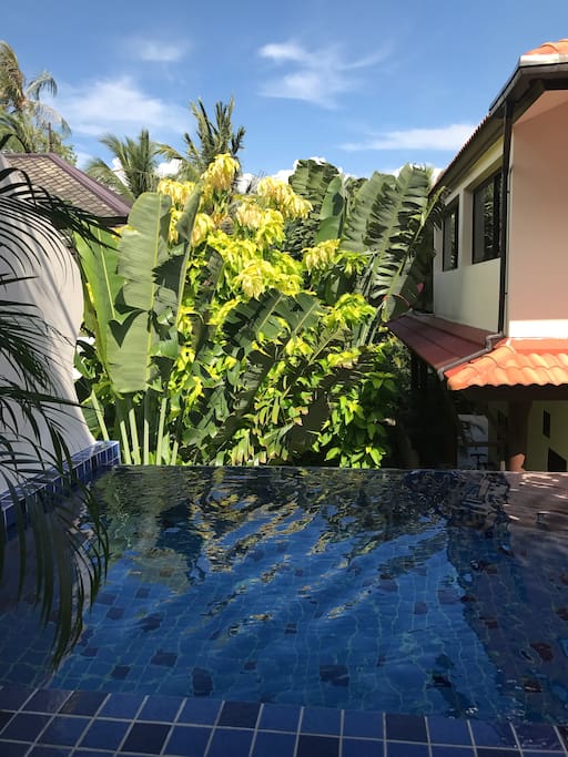 View over the private pool from the couch
