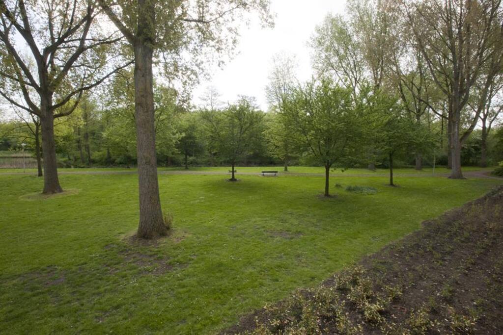 Green view