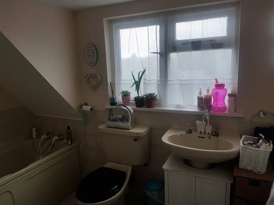 Good size toilet