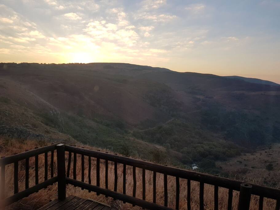 View from Patio