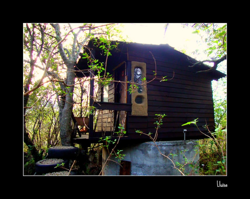 Another view of the cabin
