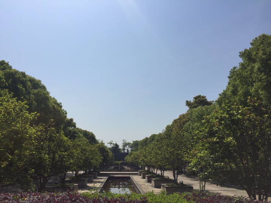 小区西门入口南往北拍