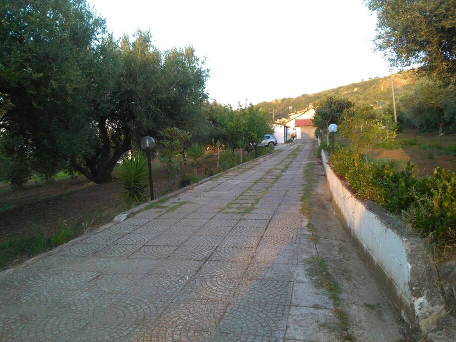 viale d'ingresso
