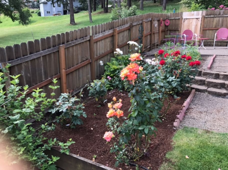 Rose Garden