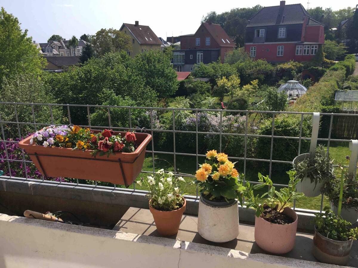 A balcony is adorned with several flower pots, showcasing a variety of colorful plants. A long planter filled with vibrant flowers is positioned against the railing, while individual pots hold lush greenery. The view beyond reveals a green landscape with residential buildings in the background.