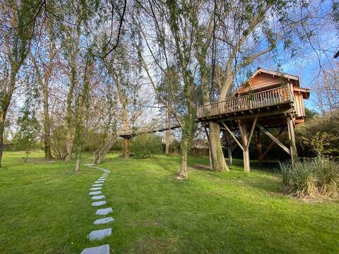 Unusual luxury perched cabin jacuzzi 2/4 p