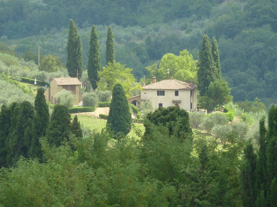Podere degli Olivi
