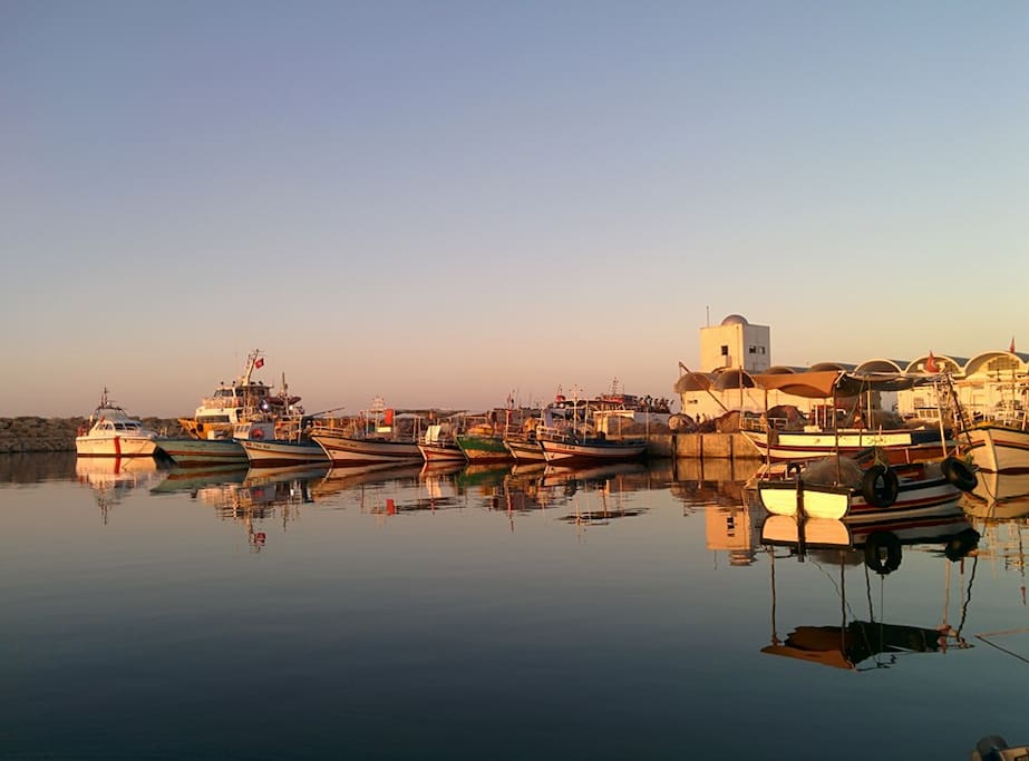 nearby port / harbor : Fresh fish !