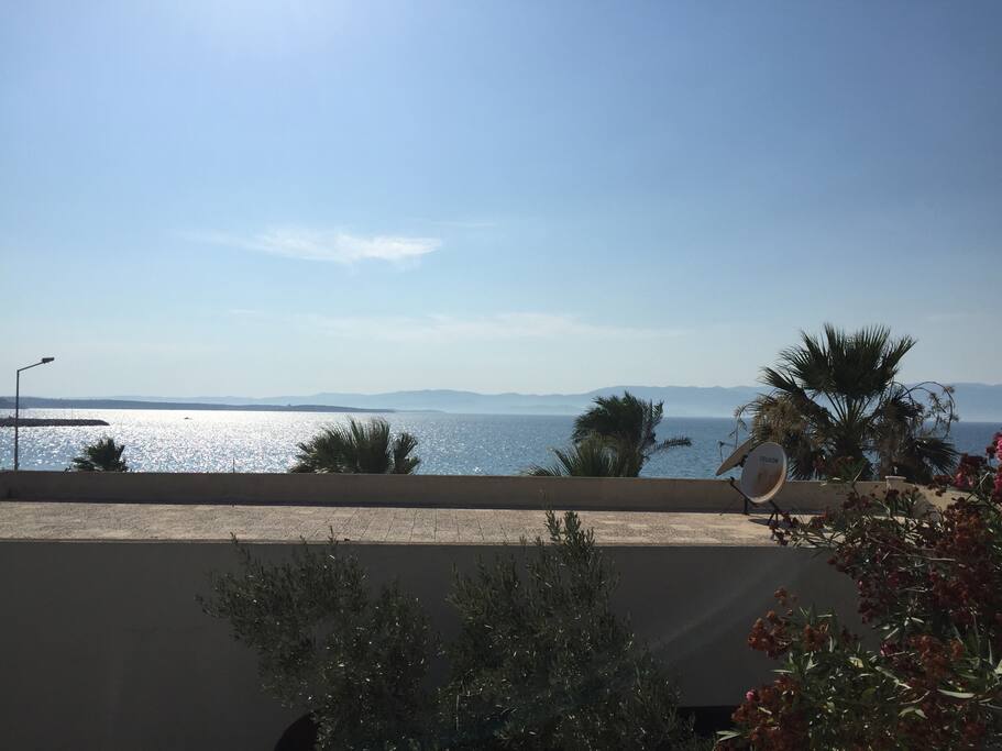 Blick vom Balkon