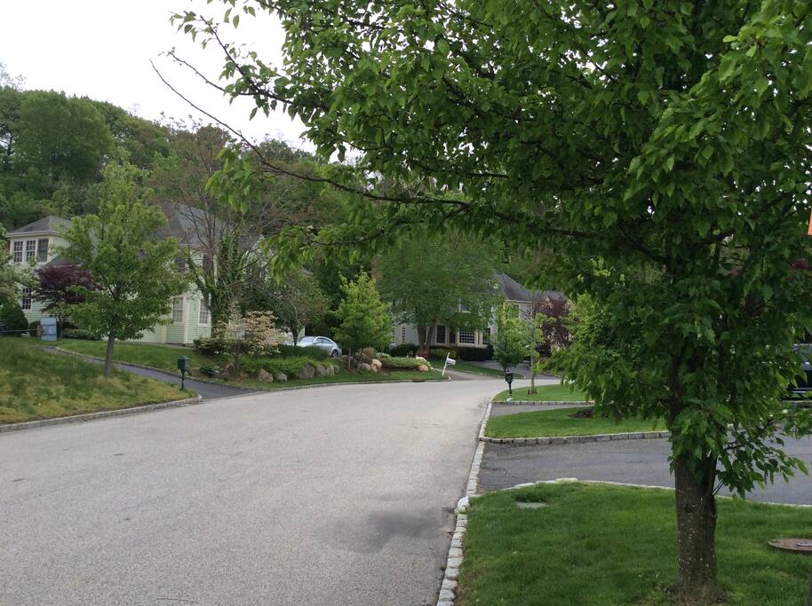 Neighborhood Street