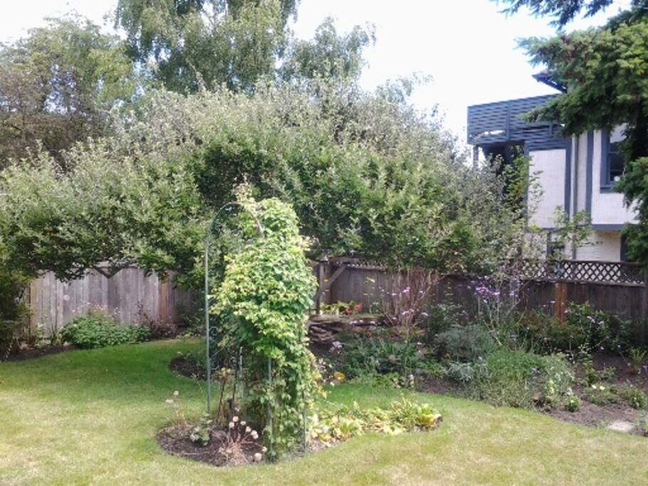 One view of the back yard