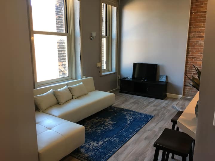Renovated Downtown Condo in the HEART OF IT ALL