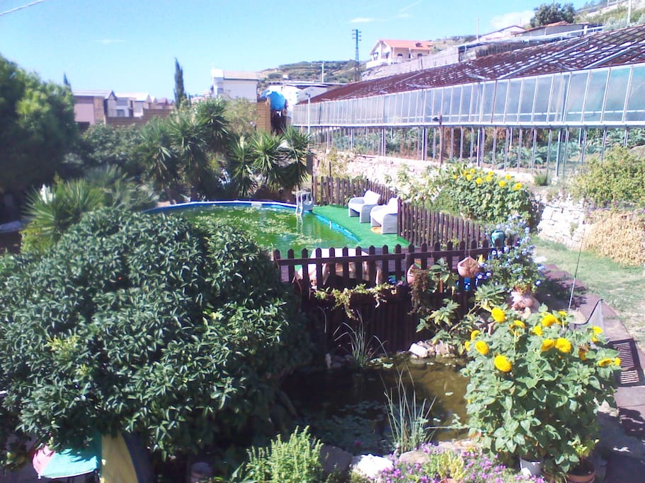 Il giardino. Laghetto con carpe e ninfee