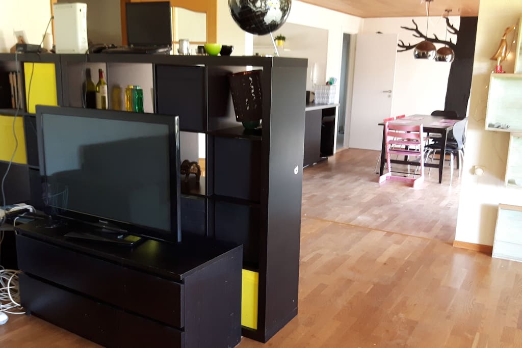 Tv i stuen. Vi har ingen kanaler, den der er computer med Netflix, viaplay og tv2play tilkoblet. Derudover er der også wii, x- box og Playstation 3.
