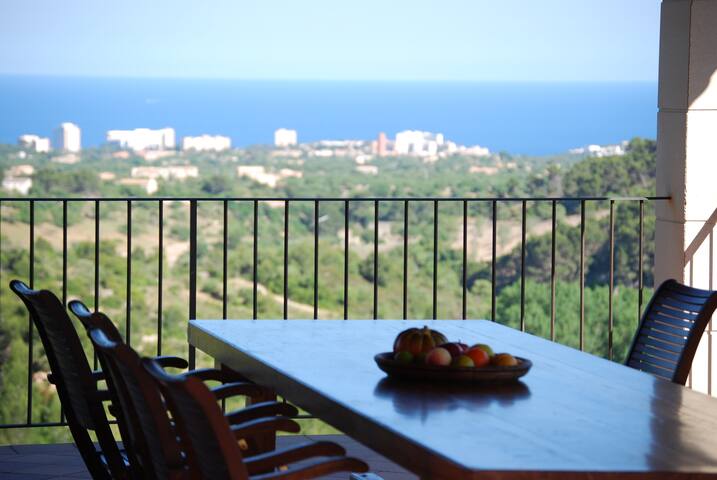 Sa Mola big luxury villa gallery image 4