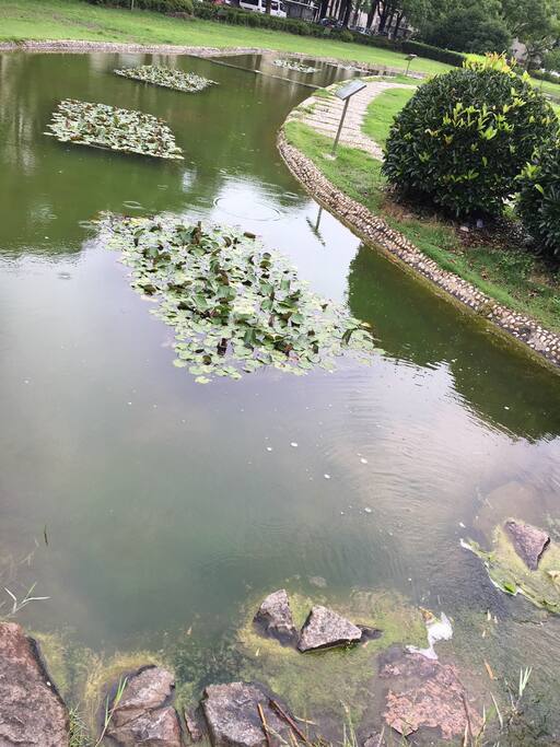 小溪潺潺