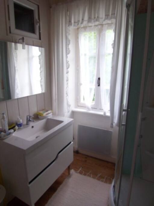 La salle d'eau et wc privatifs