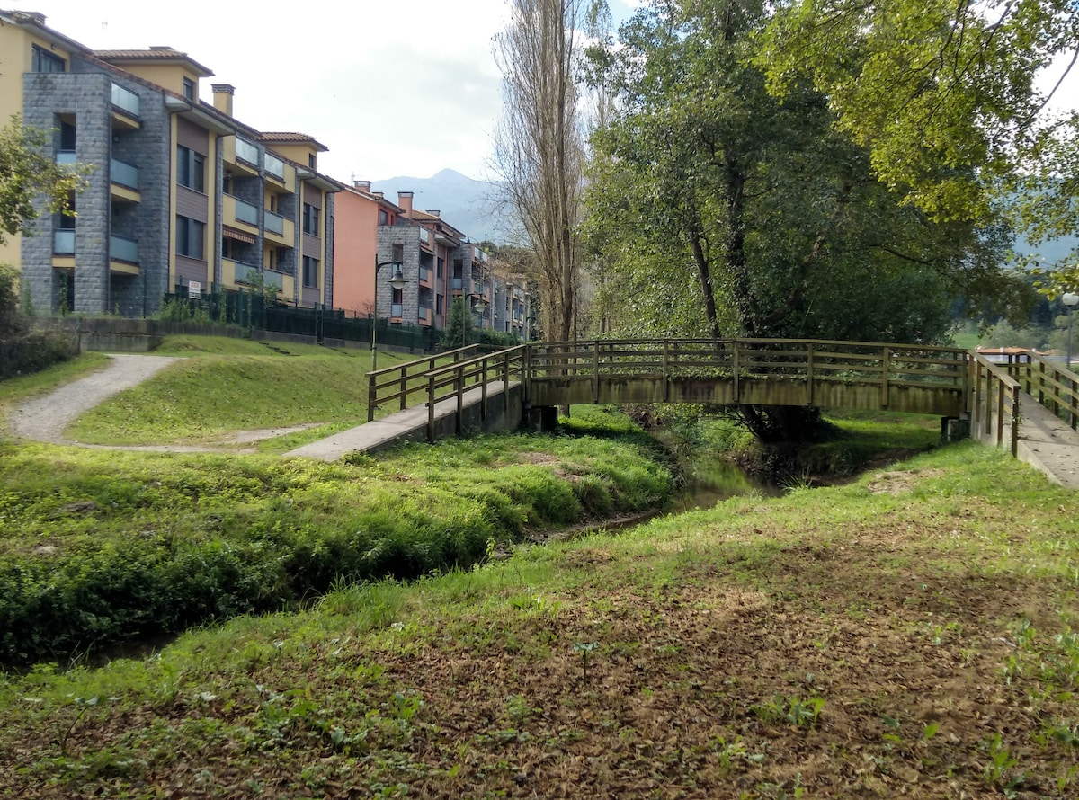 A wooden bridge spans a small stream, surrounded by grassy areas and trees. In the background, a cluster of residential buildings in soft colors is visible. A pathway meanders alongside the water, offering access to the serene natural setting.