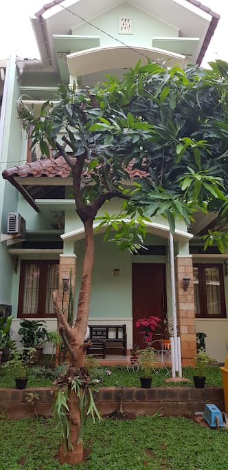 Front view