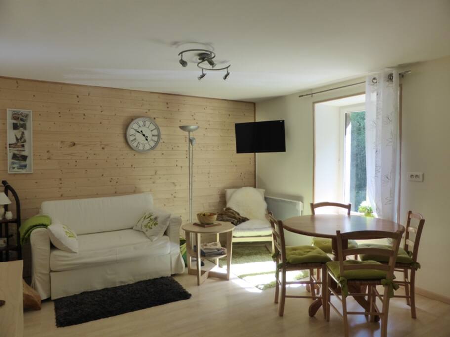 Salon/Pièce de vie avec canapé-lit