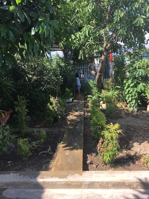 Our small garden front of the house
