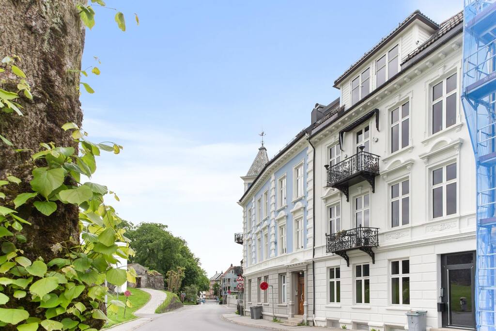 The appartment building
Entrance in the white building through the black shaded door