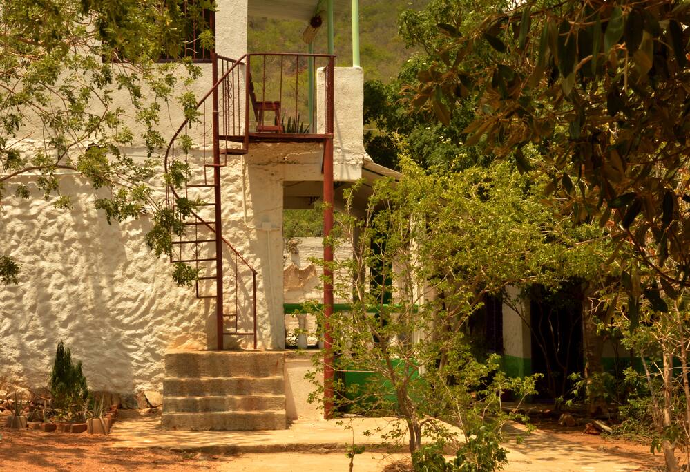 Verde de la esperanza.