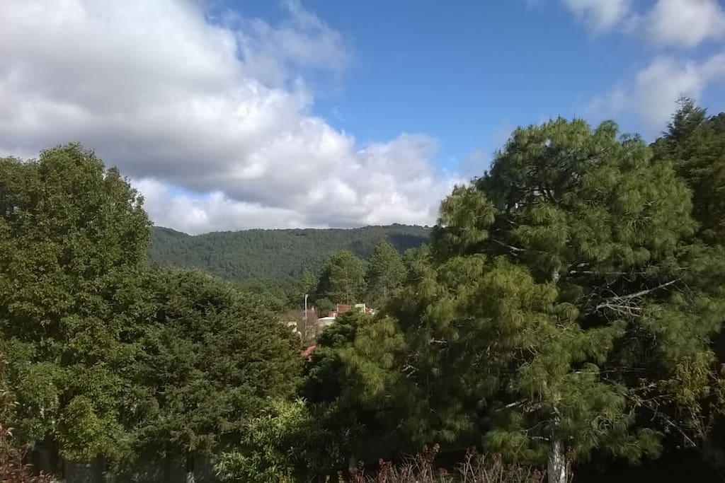 From rooftop
