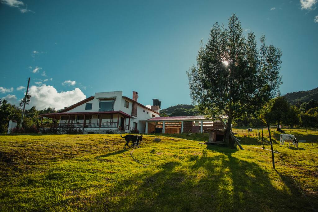 Vista desde la carretera