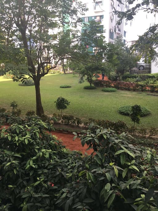 Garden view