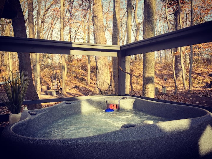 TRYON MOD FARM DWELL IN THE WOODS Houses for Rent in Michigan City