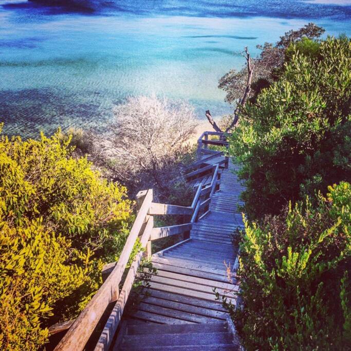 Try the famous Birdrock stair challenge!