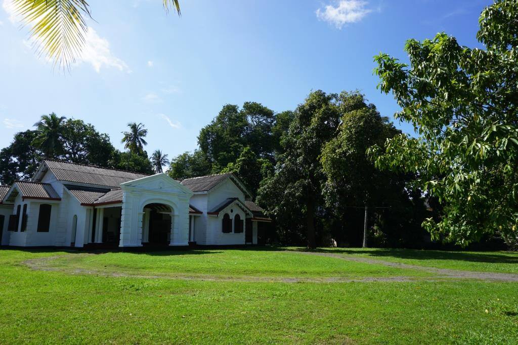 Front Yard