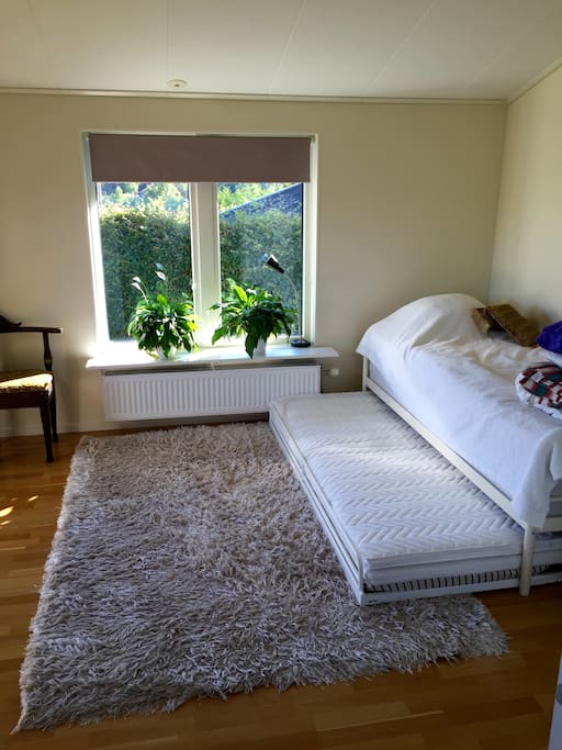 The room with two single beds. Possible to have an air mattress to accommodate another 2 people.