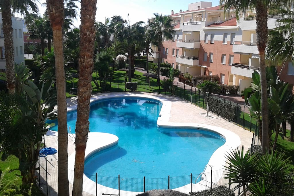 Jardín y piscina de la urbanización