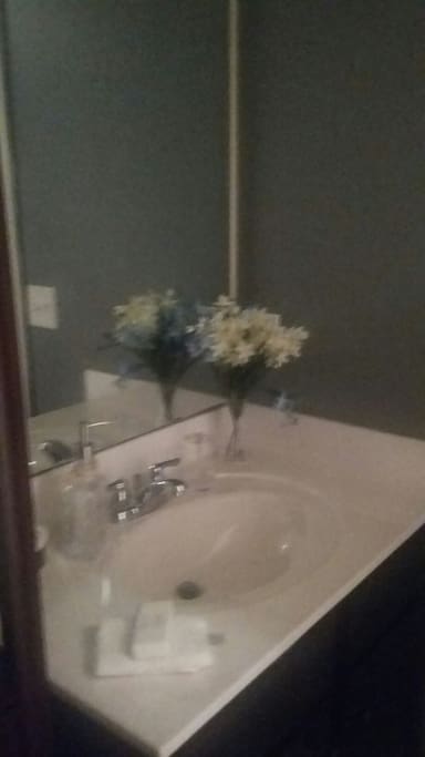 GUEST BATHROOM #1