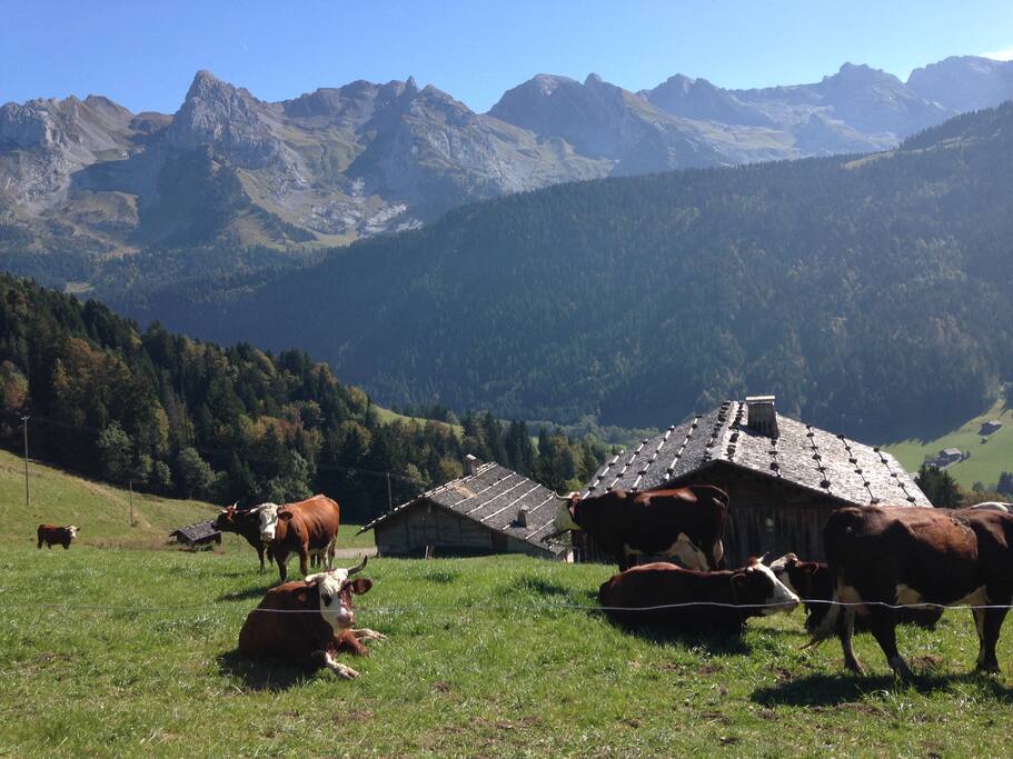 Chalet en été