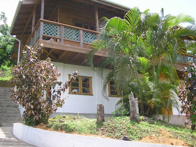Leapfrog, Castara, Tobago