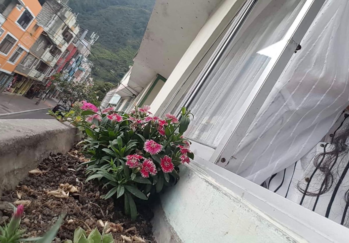 A window view features vibrant flowers in a planter, with pink blooms contrasting against the green foliage. Nearby, a street is visible, lined with colorful buildings, set against a backdrop of mountains. Sheer curtains lightly filter natural light entering the space.