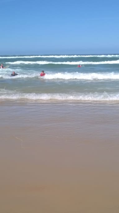 Des écoles de surfs disponibles à Mimizan pour tout ceux qui veulent s'essayer.