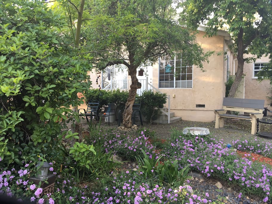 The front of the cottage, very private and peaceful. A great place to sit and enjoy California’s beautiful weather, the birds and butterflies.