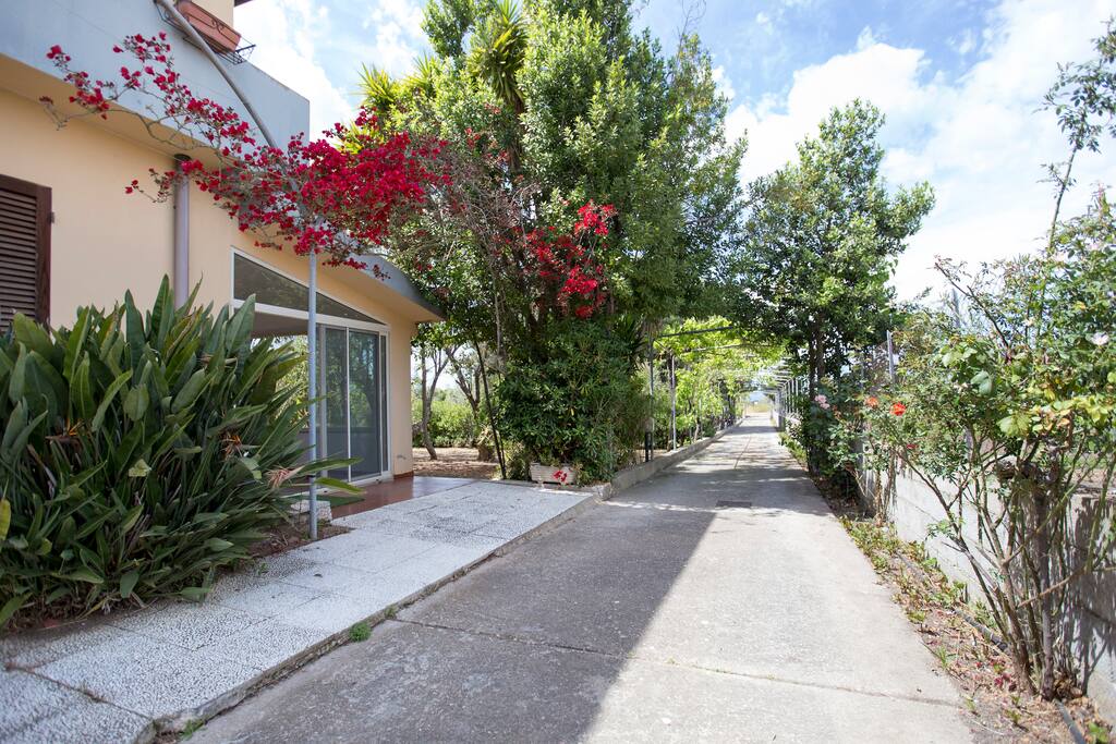 VIALE