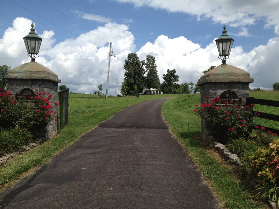 Entrance to Maple Grove