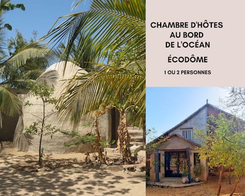 Oceanfront Bed and Breakfast. Ecodome.